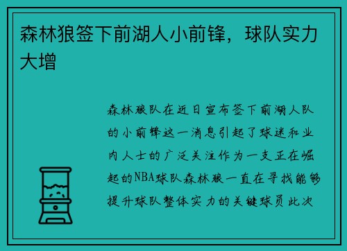 森林狼签下前湖人小前锋，球队实力大增